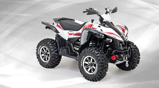 TGB Target 600 EFI 4x4 IRS