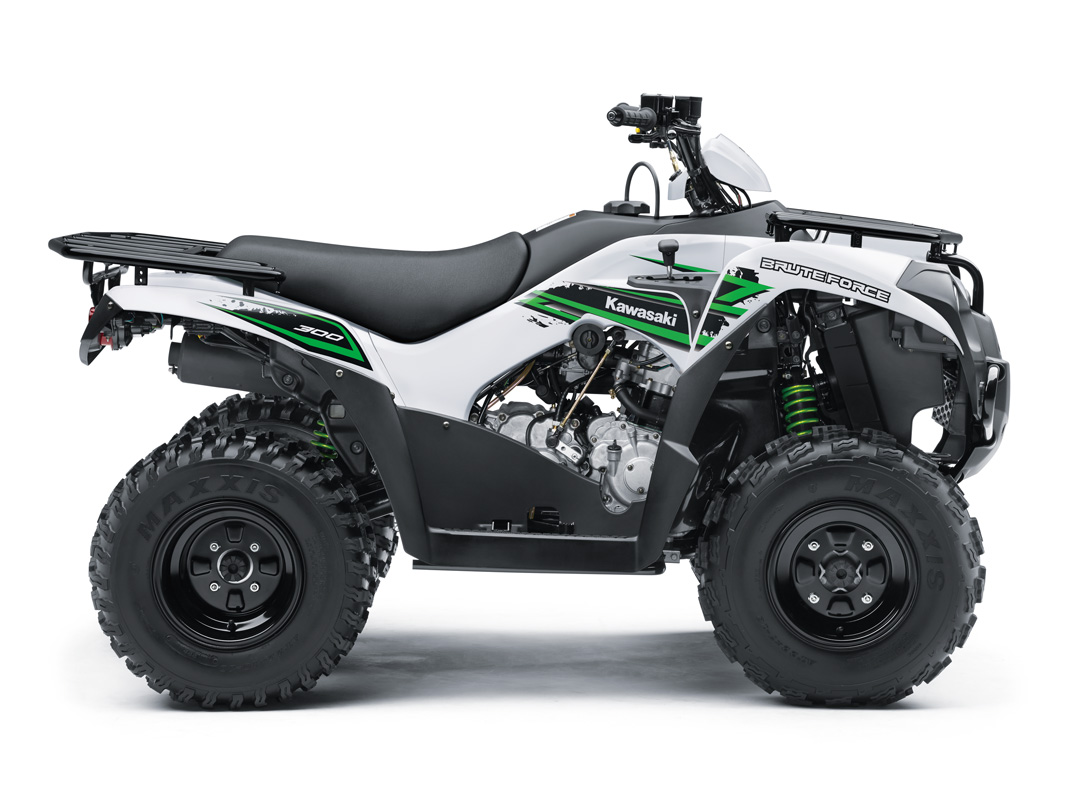 Kawasaki Brute Force 300