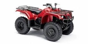 Yamaha bruin 250